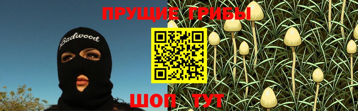 Торжок  купить наркотик  Вход с VPN  Галлюциногенные грибы Magic Shrooms 